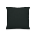 all-over-print-premium-pillow-18x18-back-6a89675874e87.png