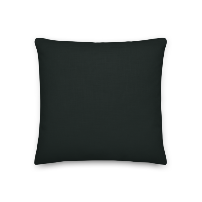 all-over-print-premium-pillow-18x18-back-6a89675874e87.png