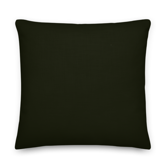 all-over-print-premium-pillow-22x22-back-6a86bac9e1213.png