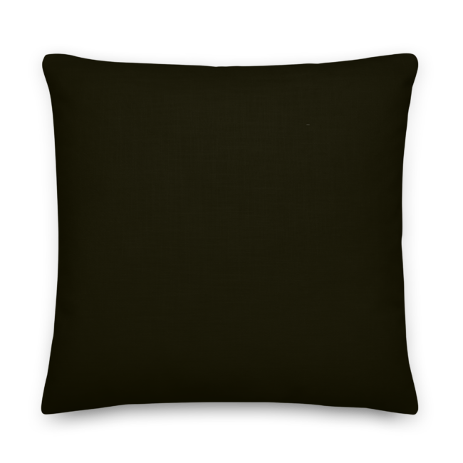 all-over-print-premium-pillow-22x22-back-6a87efc933054.png