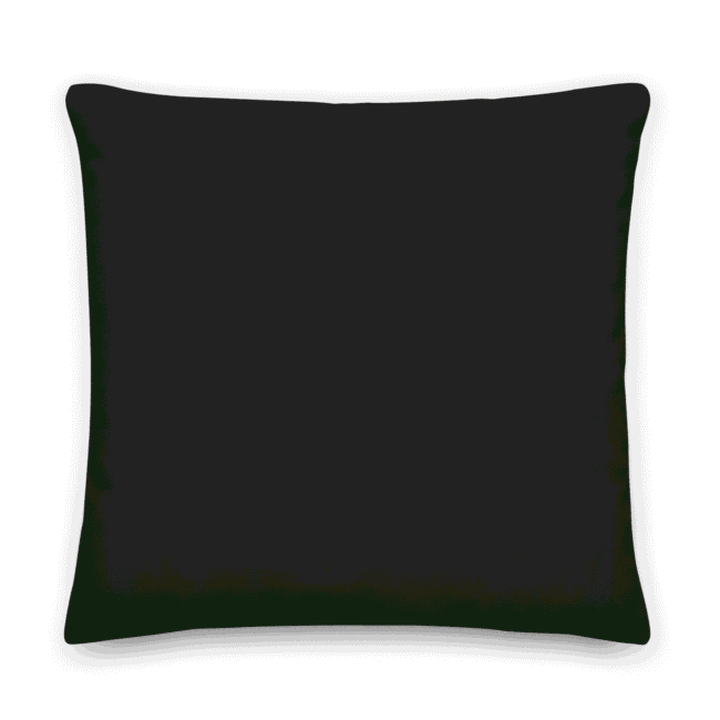 back-vilkis-print-premium-pillow-22x22-back-6a8b3240c8a6d